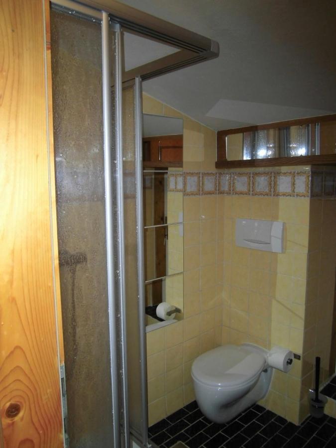 Appartements Haus Schmalzl Viehhofen Kültér fotó
